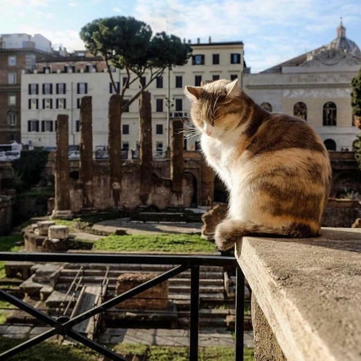 Ancient Roman Mansion Экстерьер фото